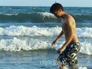 1BigDickBoyX