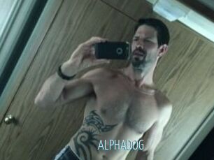 ALPHADOG