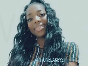 ANTONELAKEYS
