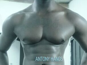 ANTONY_HANDS