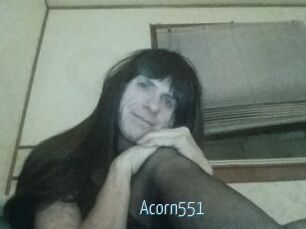 Acorn551