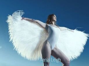 Aerial_Leigh