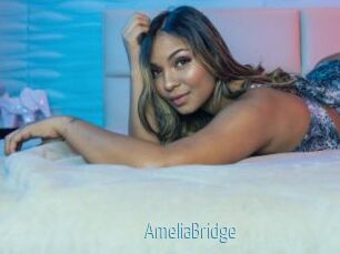 AmeliaBridge
