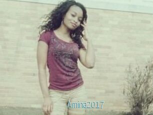 Amina2017