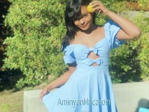 AminyanMacaron