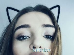 An_Harrison