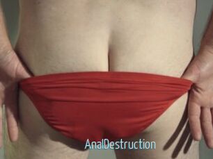 Anal_Destruction