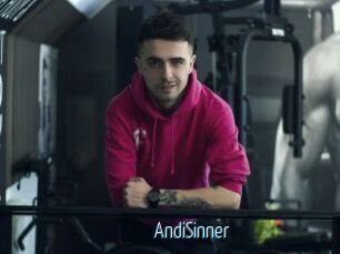 AndiSinner