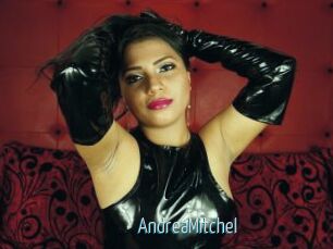 AndreaMitchel