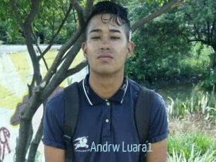 Andrw_Luara1