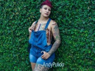 AndyPulido