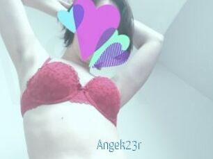 Angek23r