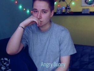 Angry_Bunny