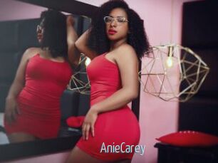 AnieCarey