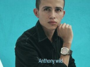 Anthony_wild