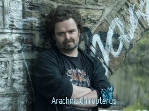 Arachnis_Chiropterus