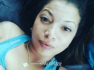 Aria_Maze