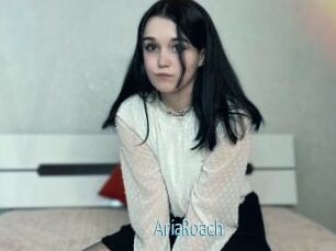 AriaRoach