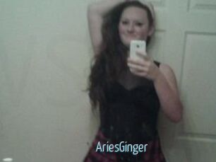 AriesGinger