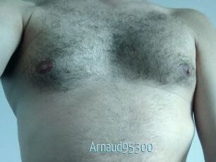 Arnaud95300