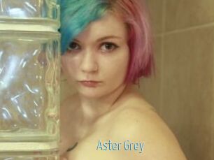 Aster_Grey