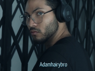 adamhairybro Video Sexe