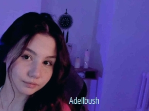 Adellbush