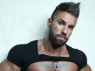 Adonis_muscles