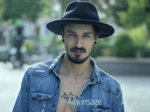 Adwinsage