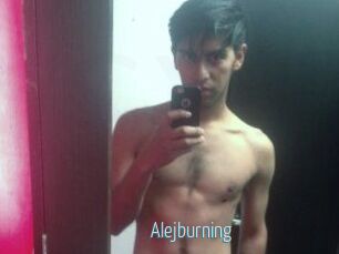 Alejburning