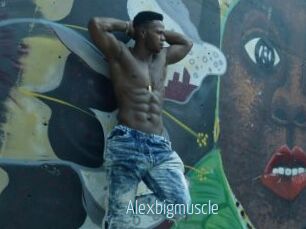 Alexbigmuscle