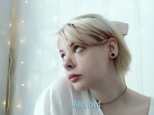 Alicebird