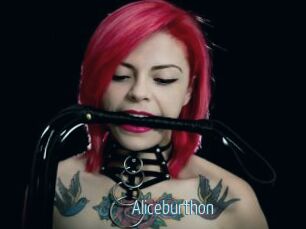 Aliceburthon