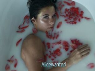 Alicewanted