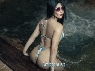 Amberbush