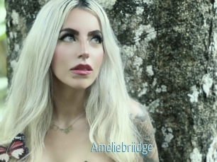 Ameliebriidge