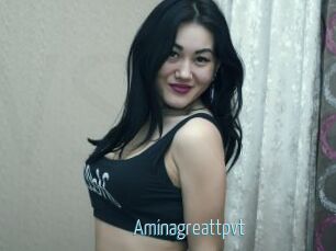 Aminagreattpvt