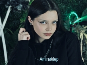 Aminaklep