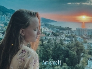 Amismett