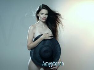 Amyytorch