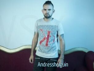 Andressholguin