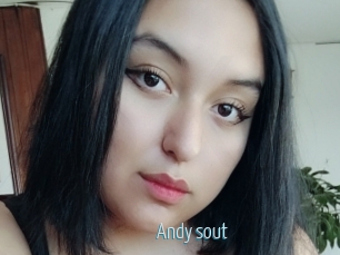 Andy_sout