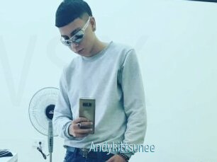 Andykittsunee