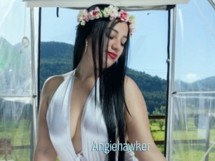 Angiehawker