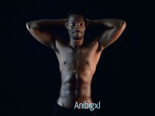 Anibigxl
