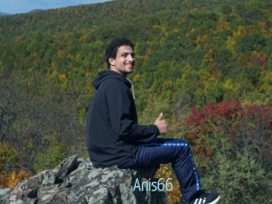 Anis66