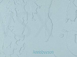 Annisbeeson