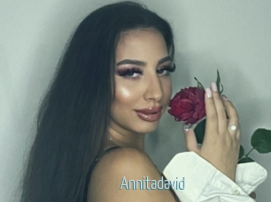 Annitadavid