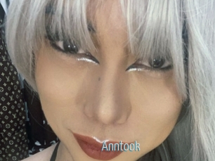 Anntook