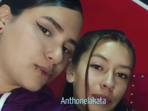 Anthonelakata